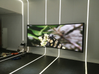 image-20241218105559-1