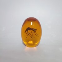 微信图片_20250910151446_70_4