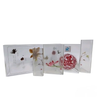 微信图片_20251204095418_407_4