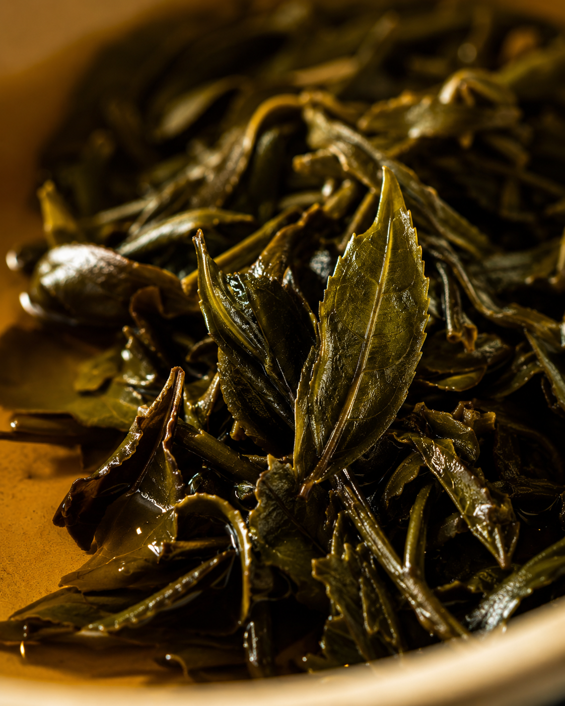茶叶·新式茶饮专用