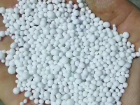 image-20240924090401-1