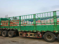 image-20240924090649-1