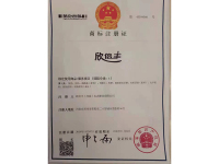 image-20240924090859-1