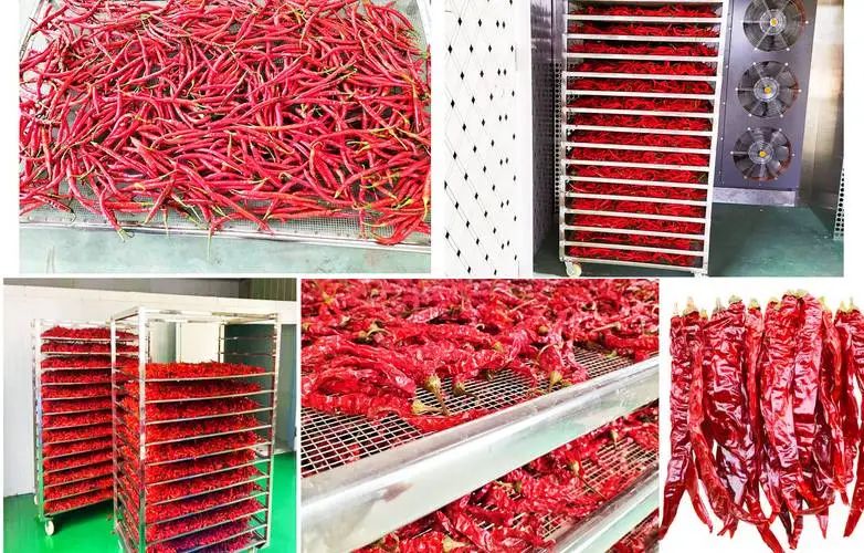 image-20241230161721-1