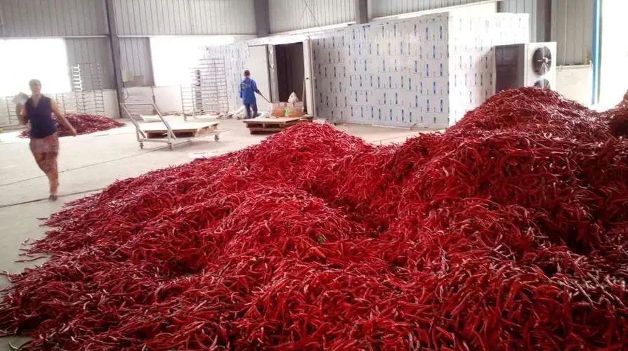 image-20241230161731-5