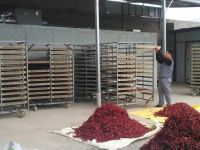 image-20241230161733-6