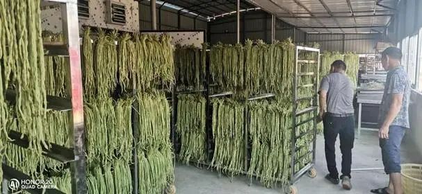 image-20241230161817-2