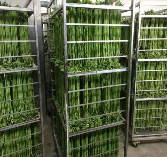 image-20241230161822-3