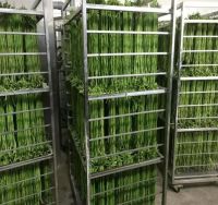 image-20241230161822-3