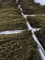 image-20241230161829-6