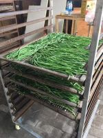 image-20241230161831-7