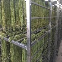 image-20241230161833-8