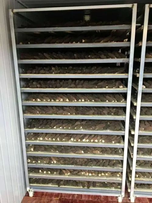 image-20241230161913-2