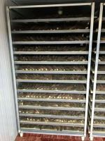 image-20241230161913-2