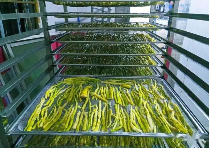 image-20241230161919-5