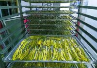 image-20241230161919-5