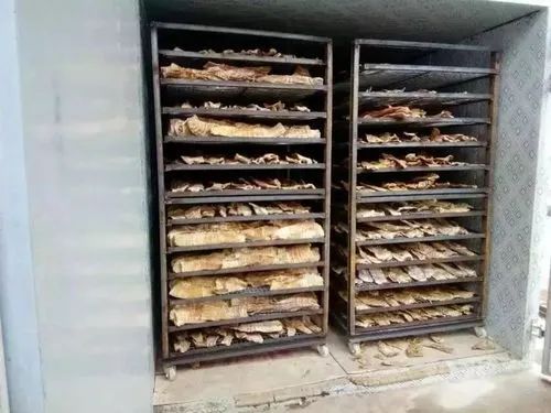 image-20241230161920-6