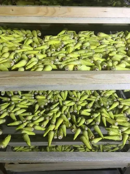 image-20241230162047-2