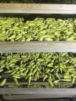 image-20241230162047-2