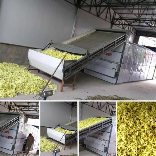 image-20241230162050-3