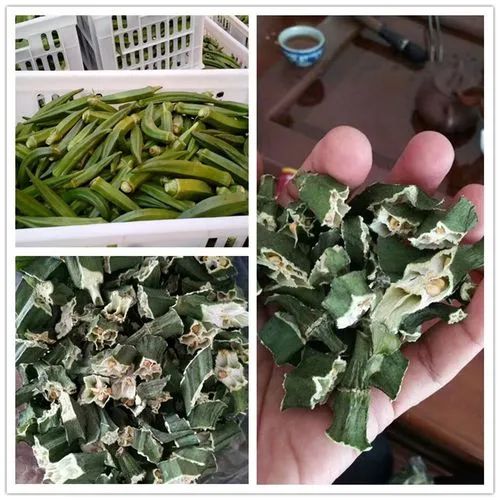 image-20241230162052-4