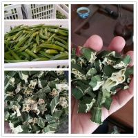 image-20241230162052-4