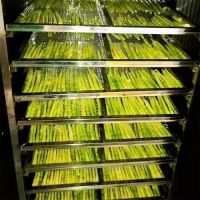 image-20241230162101-8