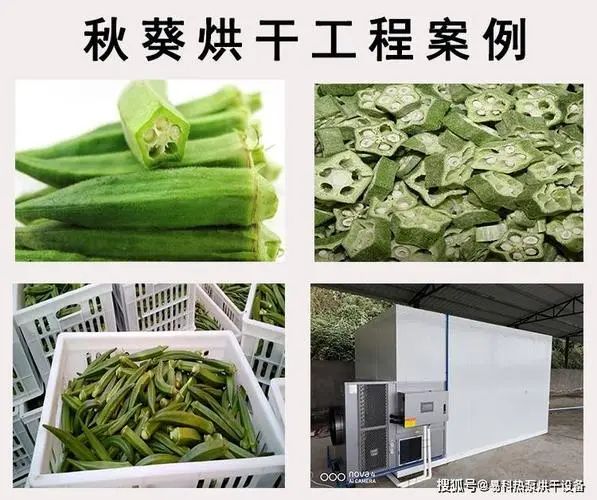 image-20241230162103-9