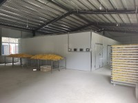 image-20241230162133-1