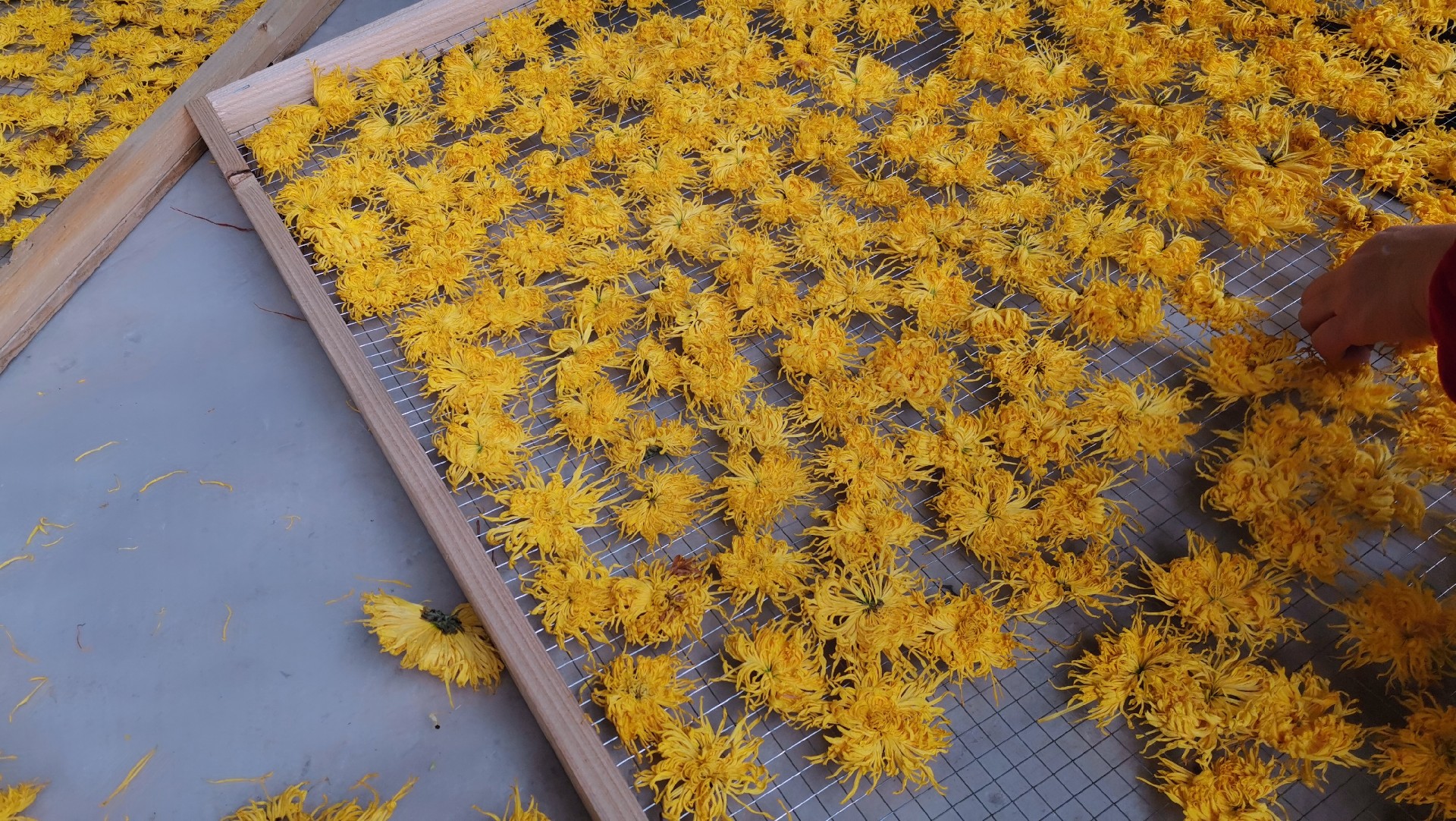 image-20241230162146-3