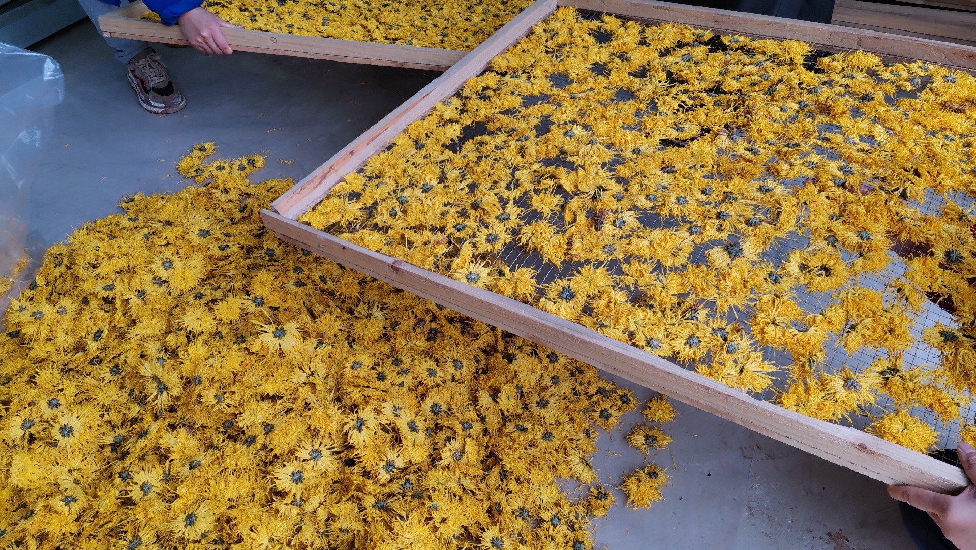 image-20241230162149-4