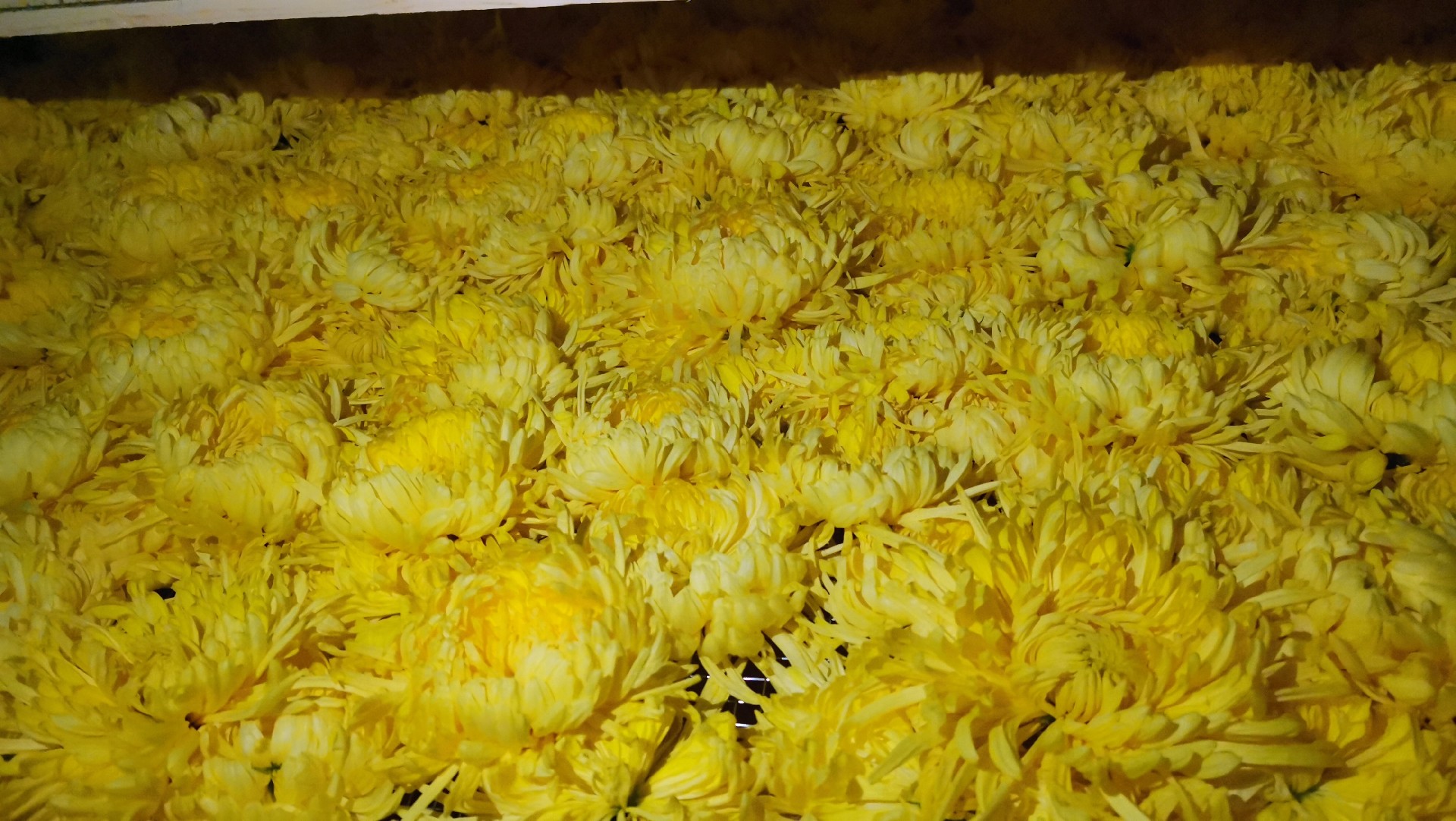 image-20241230162151-5