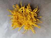 image-20241230162156-7