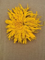 image-20241230162158-8