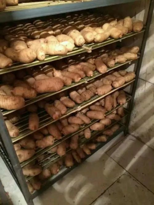 image-20241230162256-4