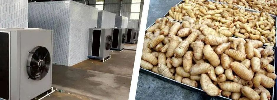 image-20241230162300-6