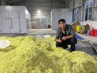 image-20241230162340-2