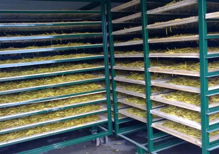 image-20241230162349-5