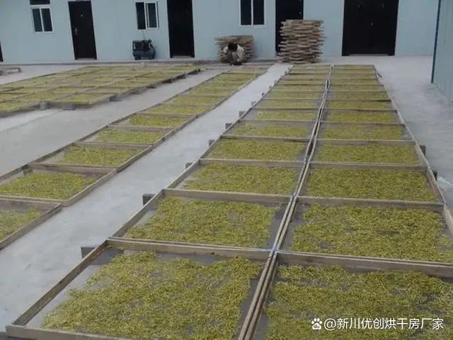 image-20241230162351-6