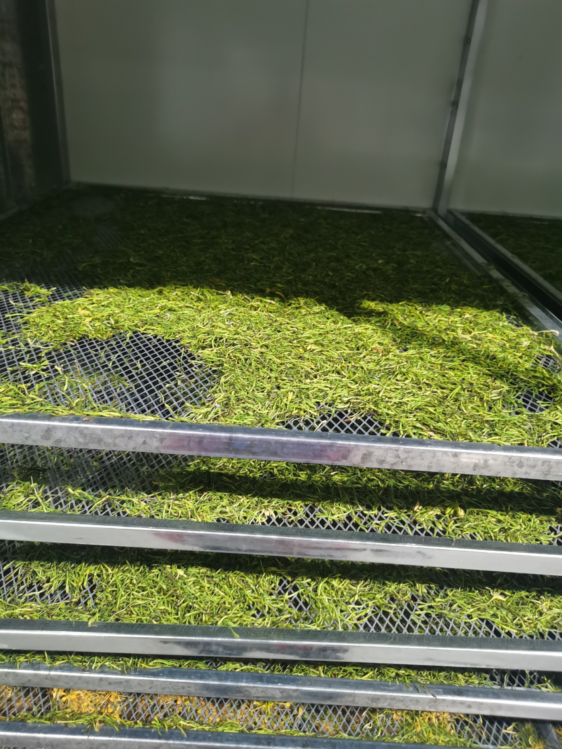 image-20241230162405-10