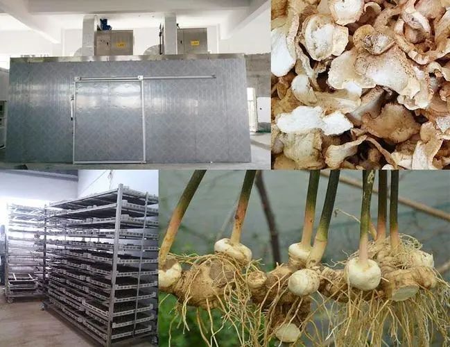 image-20241230162437-1