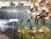 image-20241230162437-1