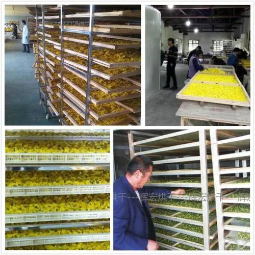 image-20241230162513-2