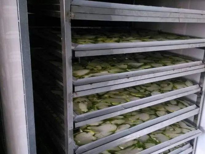 image-20241230162517-4