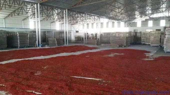 image-20241230162552-2