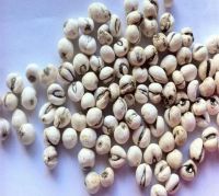 image-20241230162633-2