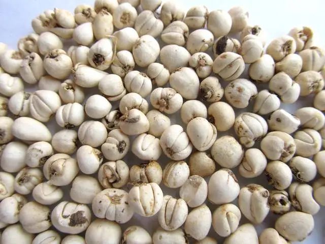 image-20241230162635-3