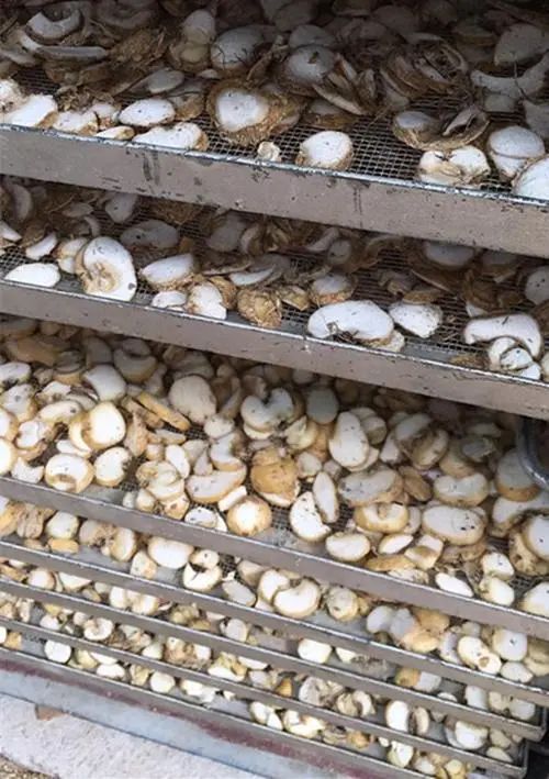 image-20241230162639-5