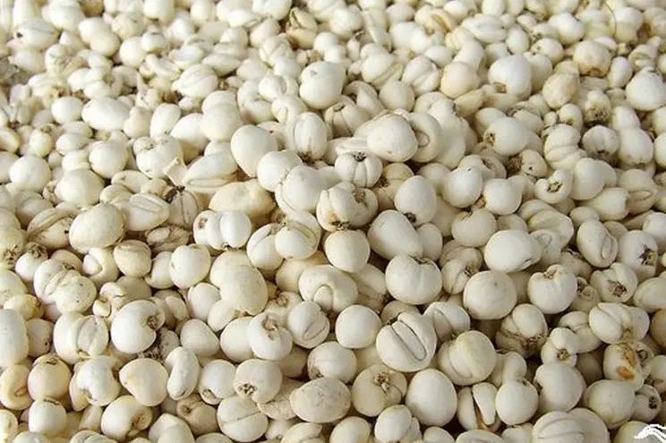 image-20241230162641-6