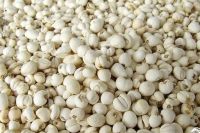 image-20241230162641-6